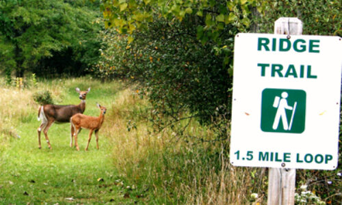 Hiking Trail Sign