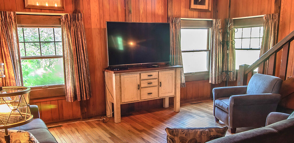 Cabin living room interior